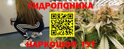гидра Апрелевка